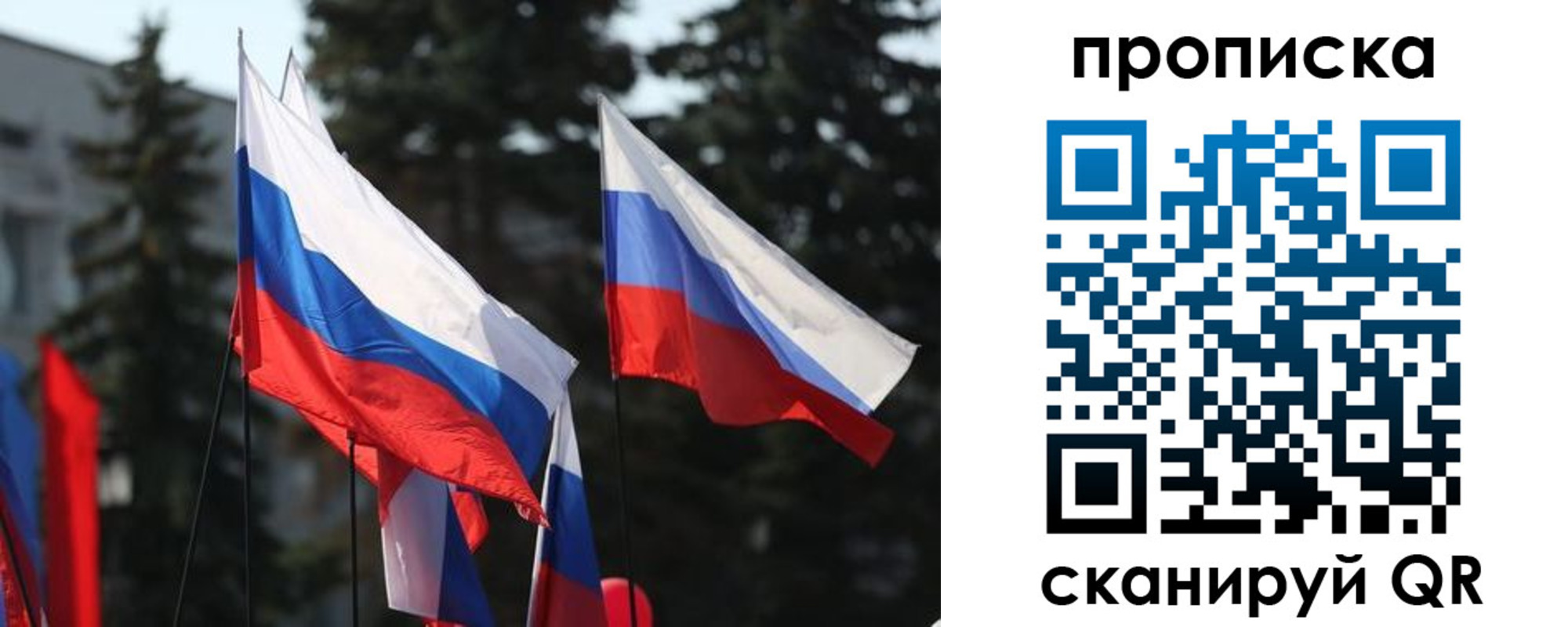 временная регистрация недорого в Светогорске